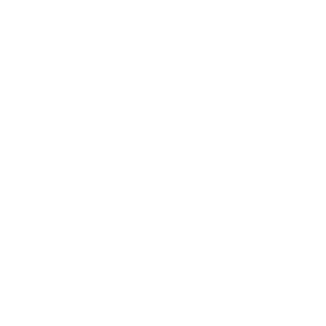 General Villegas